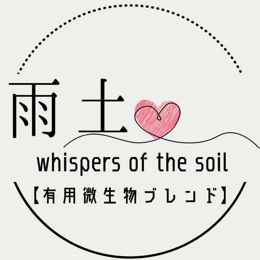 Whispers of the SOIL有り無しで地温比較しました♡ @愛知県 16:31 (25.02.24)